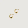 TEN Plum Gold Oorbellen